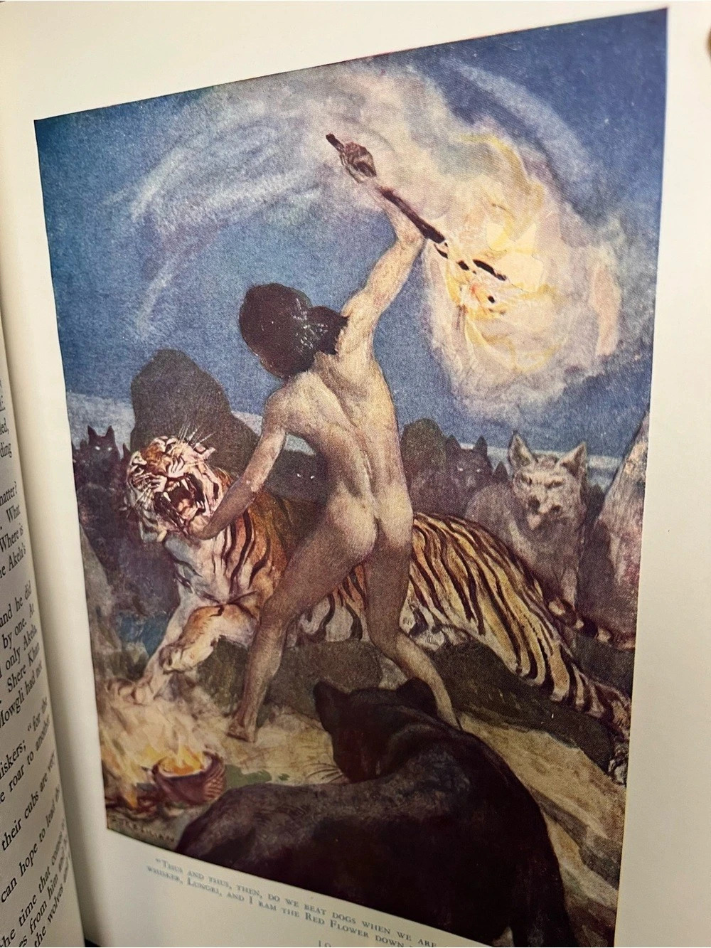 (1952) All the Mowgli Stories (Jungle book) Illustrated Hardcover Book